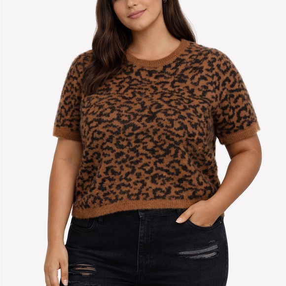 CeCe Sweaters - NOT FOR SALE